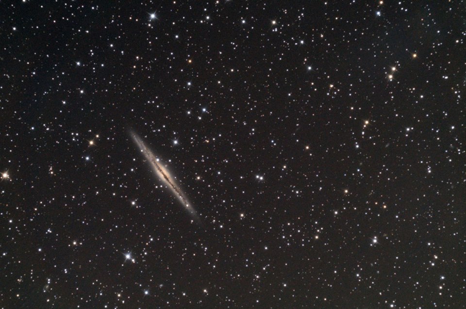 NGC 891 by Steve Creasey